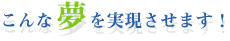 こんな夢を実現させます