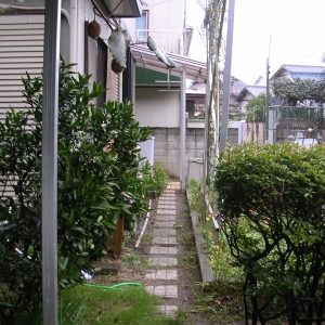 歩きづらい庭が・・・