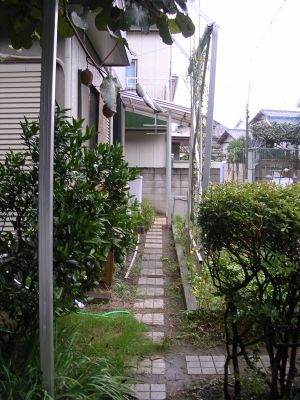 歩きづらい庭が・・・