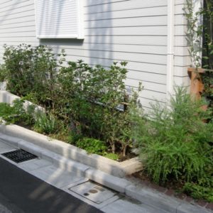 手前と奥で花壇の高さを変えてみました。生垣は、ギンモクセイ。